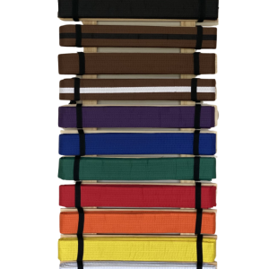 A1 Martial Arts Belt Holder