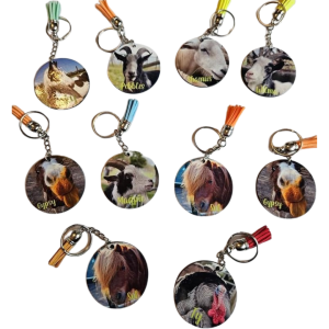Neigh - Keyring