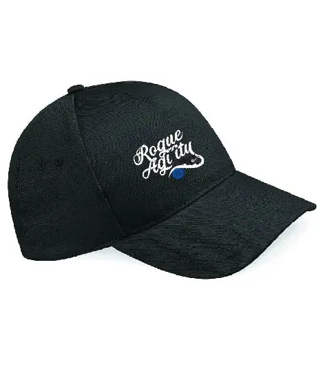 Rogue Agility 5 Panel Cap - Image 4
