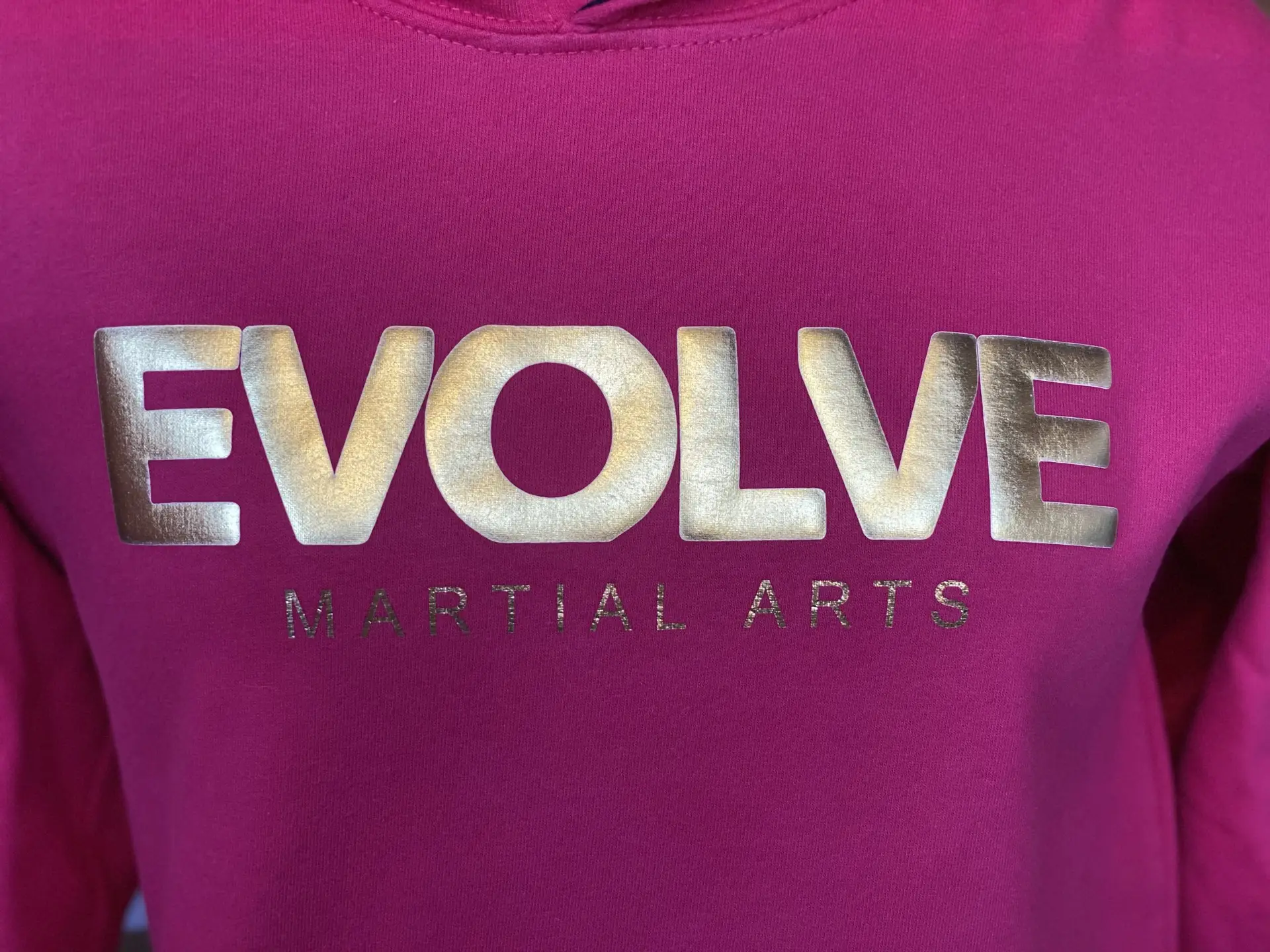 Evolve Kids Varsity Hoodie Metallic Design - Multiple Colours - Image 2